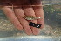  ( - TTD9)  @11 [ ] Copyright (c) (2020) Frederic D.B. Schedel University of Basel