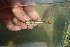 ( - ULG2)  @11 [ ] Copyright (c) (2020) Frederic D.B. Schedel University of Basel