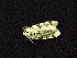 ( - DSCF-9357)  @12 [ ] Copyright (2011) Zubair Ahmed Research Collection of Zubair Ahmed