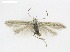  ( - NKU-ZBX0021)  @11 [ ] Copyright (2026) Unspecified Unspecified