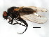  ( - BIOUG01013-F01)  @12 [ ] CreativeCommons - Attribution (2011) CBG Photography Group Centre for Biodiversity Genomics