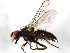  ( - BIOUG01014-B02)  @13 [ ] CreativeCommons - Attribution (2011) CBG Photography Group Centre for Biodiversity Genomics