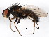  ( - BIOUG01014-B04)  @13 [ ] CreativeCommons - Attribution (2011) CBG Photography Group Centre for Biodiversity Genomics