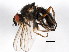  ( - BIOUG01014-B05)  @13 [ ] CreativeCommons - Attribution (2011) CBG Photography Group Centre for Biodiversity Genomics