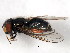  ( - BIOUG01014-D12)  @14 [ ] CreativeCommons - Attribution (2011) CBG Photography Group Centre for Biodiversity Genomics