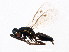  ( - BIOUG01044-A01)  @13 [ ] CreativeCommons - Attribution (2011) CBG Photography Group Centre for Biodiversity Genomics