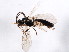  ( - BIOUG01044-A04)  @12 [ ] CreativeCommons - Attribution (2011) CBG Photography Group Centre for Biodiversity Genomics