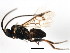  ( - BIOUG01044-C07)  @12 [ ] CreativeCommons - Attribution (2011) CBG Photography Group Centre for Biodiversity Genomics
