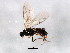  ( - BIOUG01913-D03)  @12 [ ] CreativeCommons - Attribution (2012) CBG Photography Group Centre for Biodiversity Genomics