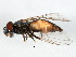  ( - BIOUG01914-A02)  @13 [ ] CreativeCommons - Attribution (2012) CBG Photography Group Centre for Biodiversity Genomics