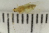  ( - HetNor181)  @11 [ ] CreativeCommons - Attribution Non-Commercial Share-Alike (2034) University of Bergen Natural History Collections