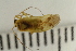  ( - HetNor182)  @11 [ ] CreativeCommons - Attribution Non-Commercial Share-Alike (2036) University of Bergen Natural History Collections