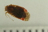  ( - HetNor191)  @11 [ ] CreativeCommons - Attribution Non-Commercial Share-Alike (2045) University of Bergen Natural History Collections