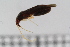  ( - HetNor198)  @11 [ ] CreativeCommons - Attribution Non-Commercial Share-Alike (2020) University of Bergen Natural History Collections