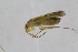  ( - HetNor307)  @11 [ ] copyright (2018) Univers. of Bergen, Natural History Collection Univers. of Bergen, Natural History Collection