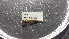  ( - IBOL Kurs2017-JE1)  @11 [ ] CreativeCommons - Attribution Non-Commercial Share-Alike (2017) University of Bergen Natural History Collections