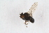  ( - RIKDIP21)  @11 [ ] CreativeCommons - Attribution Non-Commercial Share-Alike (2017) University of Bergen Natural History Collections