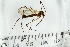  ( - IBOL_RIK_Tip69)  @11 [ ] CreativeCommons - Attribution Non-Commercial Share-Alike (2020) University of Bergen Natural History Collections