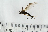  ( - IBOL_RIK_Tip71)  @12 [ ] CreativeCommons - Attribution Non-Commercial Share-Alike (2020) University of Bergen Natural History Collections