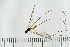  ( - IBOL_RIK_Tip77)  @11 [ ] CreativeCommons - Attribution Non-Commercial Share-Alike (2020) University of Bergen Natural History Collections