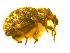  ( - Kurs2015-SH4)  @12 [ ] Copyright (2015) Univers. of Bergen, Natural History Collection Univers. of Bergen, Natural History Collection