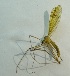  ( - Kurs2015-SH6)  @13 [ ] Copyright (2015) Univers. of Bergen, Natural History Collection Univers. of Bergen, Natural History Collection