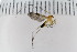  ( - Lygra55)  @12 [ ] CreativeCommons - Attribution Non-Commercial Share-Alike (2016) University of Bergen Natural History Collections