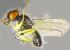  ( - RIKCal70)  @12 [ ] Copyright (2014) Bergen Museum Bergen Museum