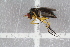  ( - RIKEMP122)  @12 [ ] CreativeCommons - Attribution Non-Commercial Share-Alike (2017) University of Bergen Natural History Collections