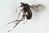  ( - RIKEMP44)  @11 [ ] CreativeCommons - Attribution Non-Commercial Share-Alike (2017) University of Bergen Natural History Collections