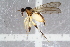  ( - RIKEMP61)  @13 [ ] CreativeCommons - Attribution Non-Commercial Share-Alike (2017) University of Bergen Natural History Collections