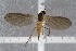  ( - RIKEMP81)  @12 [ ] CreativeCommons - Attribution Non-Commercial Share-Alike (2017) University of Bergen Natural History Collections