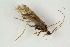  ( - RIKTRI30)  @13 [ ] CreativeCommons - Attribution Non-Commercial Share-Alike (2017) University of Bergen Natural History Collections