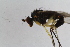  ( - RikEmp250)  @12 [ ] Copyright (2014) Bergen Museum Bergen Museum