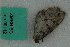  ( - ZMBN BC Lep 00112)  @11 [ ] CreativeCommons - Attribution Non-Commercial Share-Alike (2016) University of Bergen Natural History Collections