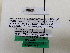  ( - ZMBN_HymA1)  @11 [ ] CreativeCommons - Attribution Non-Commercial Share-Alike (2019) University of Bergen Natural History Collections