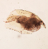  ( - HE-486.1)  @12 [ ] Copyright (2012) Unspecified Unspecified