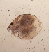  ( - HE-536.1)  @12 [ ] Copyright (2012) Unspecified Unspecified