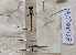  ( - ZOdon075)  @11 [ ] CreativeCommons  Attribution Non-Commercial Share-Alike (2023) Michaela Sonnleitner NHM Vienna