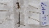  (Pseudagrion assegaii - ZOdon093)  @11 [ ] CreativeCommons  Attribution Non-Commercial Share-Alike (2023) Michaela Sonnleitner NHM Vienna