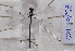  ( - ZOdon100)  @11 [ ] CreativeCommons  Attribution Non-Commercial Share-Alike (2023) Michaela Sonnleitner NHM Vienna