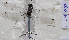  ( - ZOdon117)  @11 [ ] CreativeCommons  Attribution Non-Commercial Share-Alike (2023) Michaela Sonnleitner NHM Vienna