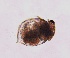  ( - ZPJW6)  @11 [ ] Copyright (2015) PHCDBS PAUL HEBERT CENTRE FOR DNA BARCODING AND BIODIVERSITY STUDIES