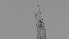  ( - ZOOPS_0294)  @11 [ ] CreativeCommons - Attribution Non-Commercial No Derivatives (2019) Joe Connolly Cornell University