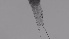  ( - ZOOPS_0300)  @11 [ ] CreativeCommons - Attribution Non-Commercial No Derivatives (2019) Joe Connolly Cornell University