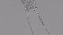  ( - ZOOPS_0300)  @11 [ ] CreativeCommons - Attribution Non-Commercial No Derivatives (2019) Joe Connolly Cornell University