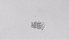  ( - ZOOPS_0521)  @11 [ ] BY-NC-ND (2019) Joe Connolly Cornell University