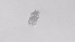  ( - ZOOPS_0522)  @11 [ ] BY-NC-ND (2019) Joe Connolly Cornell University