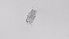  ( - ZOOPS_0522)  @11 [ ] BY-NC-ND (2019) Joe Connolly Cornell University
