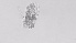  ( - ZOOPS_0532)  @11 [ ] BY-NC-ND (2019) Joe Connolly Cornell University